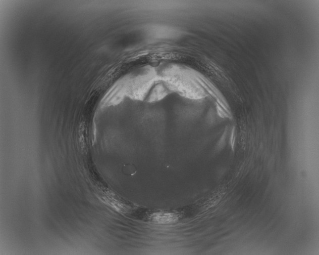 X0000052920169200507292335