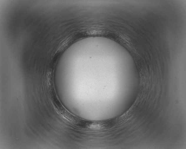 X0000052920171200507292335