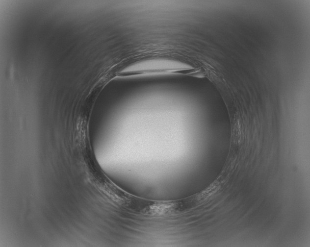 X0000052920172200507292335