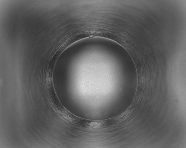 X0000052920176200507292335