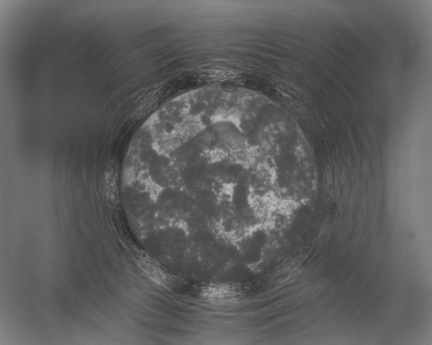 X0000052920177200507292335
