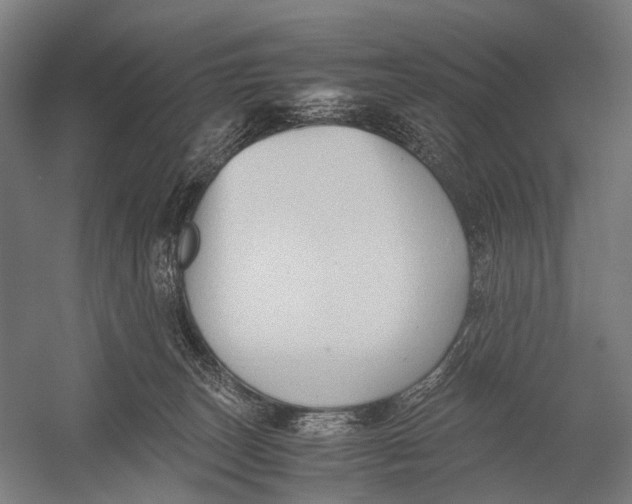 X0000052920179200507292335