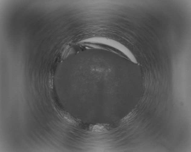 X0000052920180200507292335
