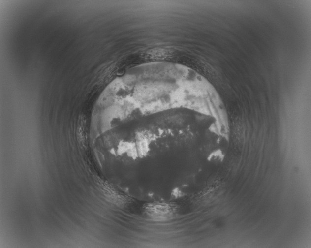 X0000052920181200507292335