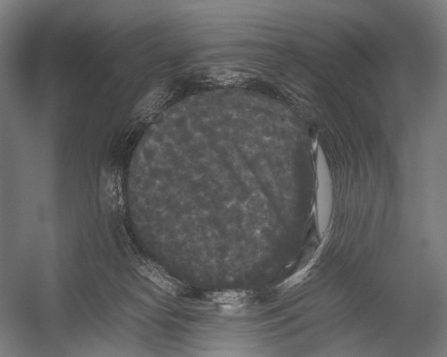 X0000052920182200507292335
