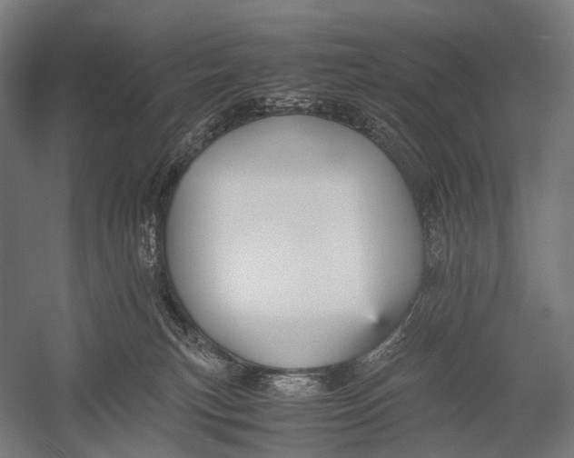 X0000052920183200507292335