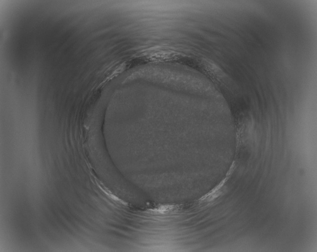 X0000052920186200507292335