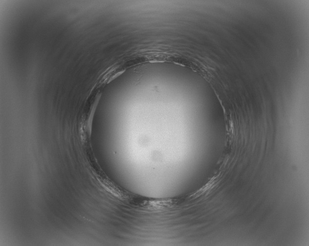 X0000052920188200507292336