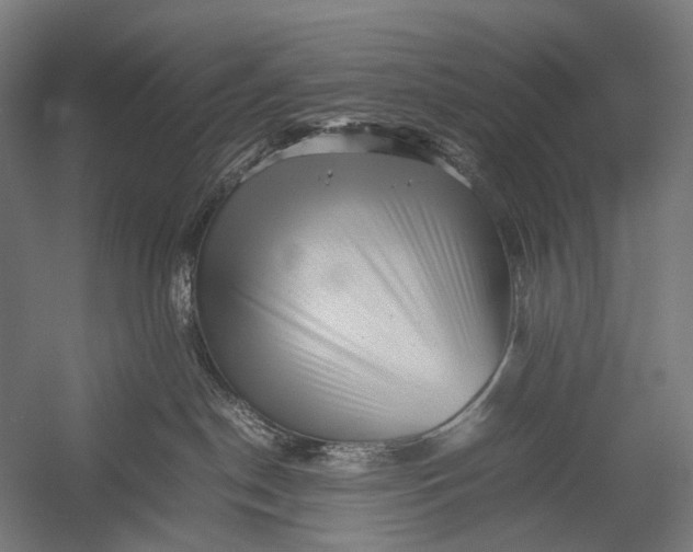 X0000052920190200507292336