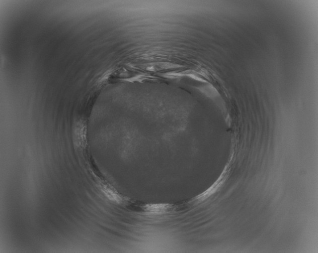 X0000052920192200507292336