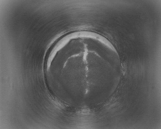 X0000052920196200507292335