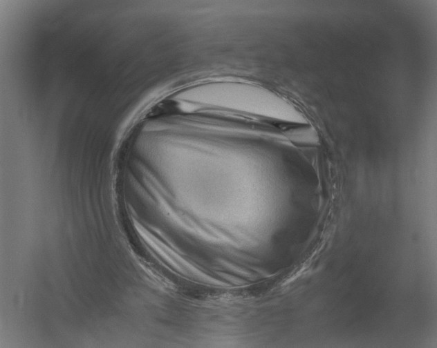 X0000052920197200507292335