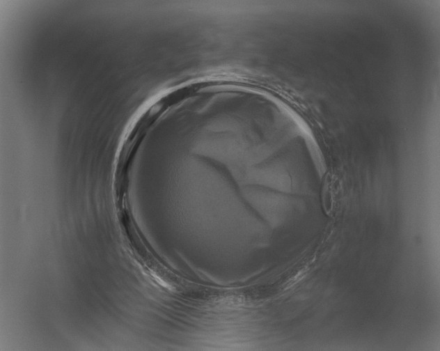 X0000052920200200507292335