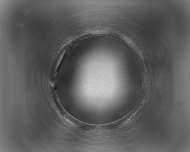 X0000052920201200507292335