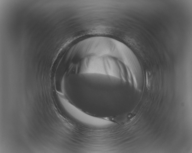 X0000052920204200507292335