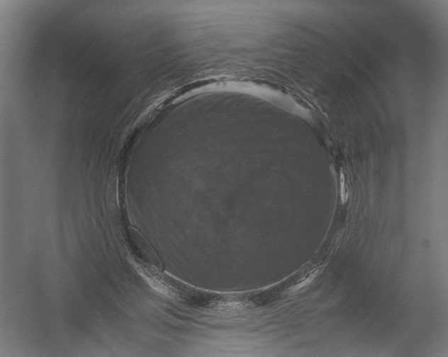 X0000052920205200507292335