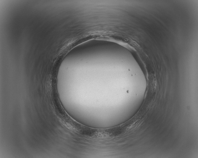 X0000052920207200507292335