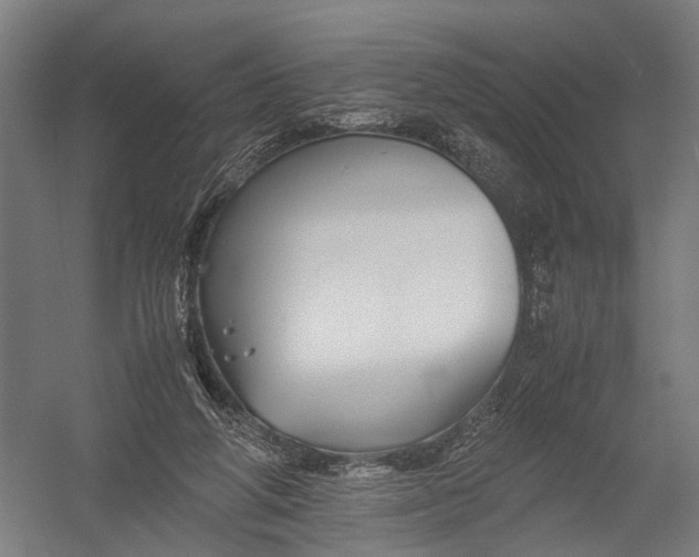 X0000052920210200507292334