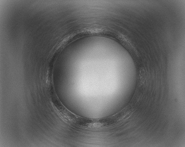 X0000052920212200507292334