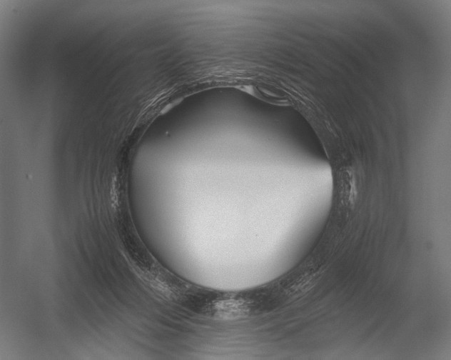 X0000052920216200507292334