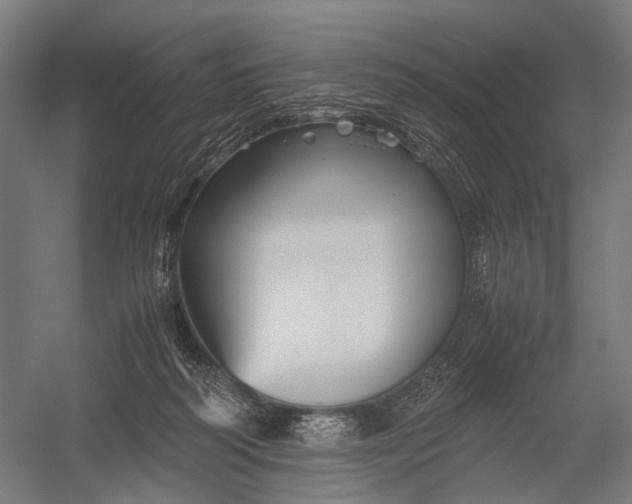 X0000052920218200507292334