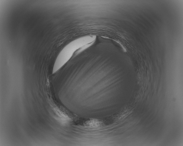 X0000052920219200507292334