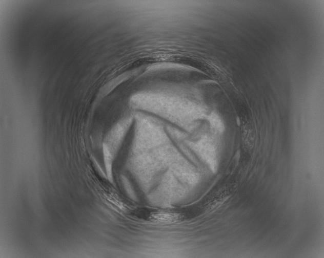 X0000052920221200507292334