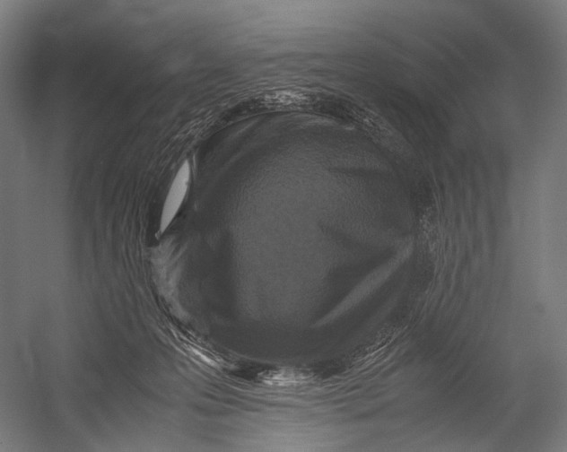X0000052920223200507292334