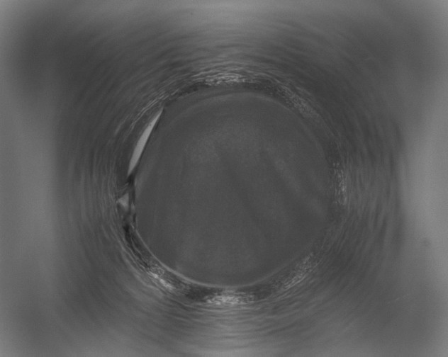 X0000052920224200507292334