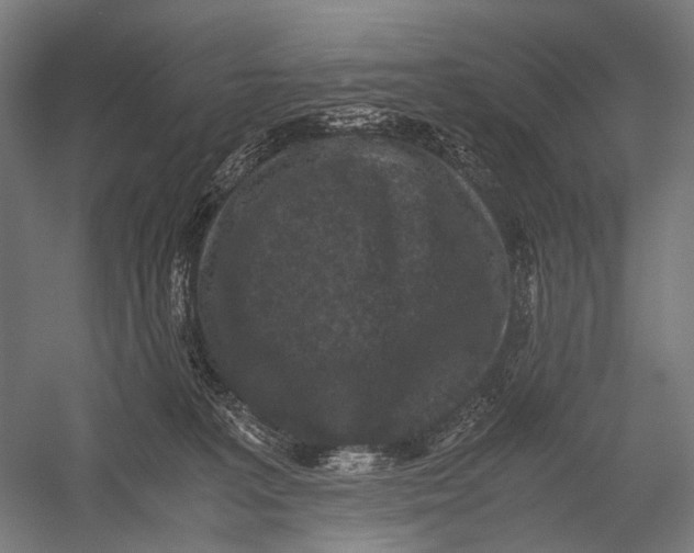 X0000052920227200507292334