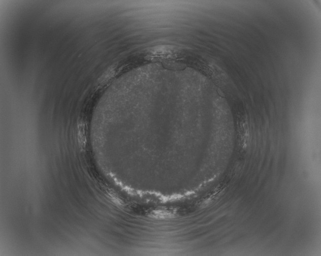 X0000052920232200507292334