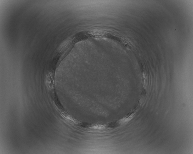 X0000052920237200507292334