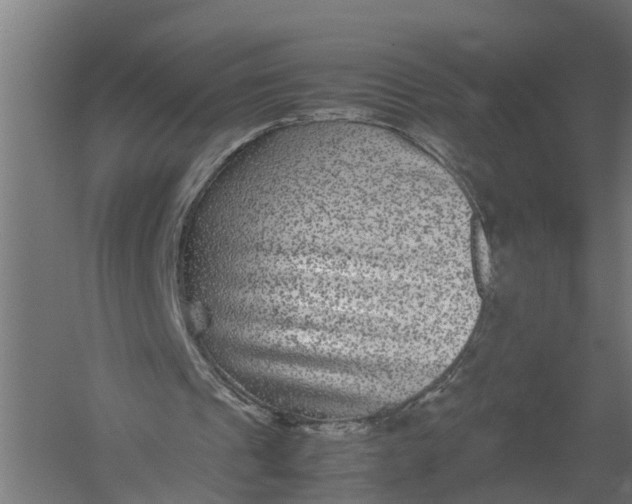 X0000052920241200507292333