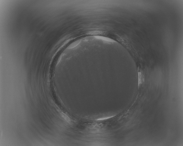 X0000052920243200507292333