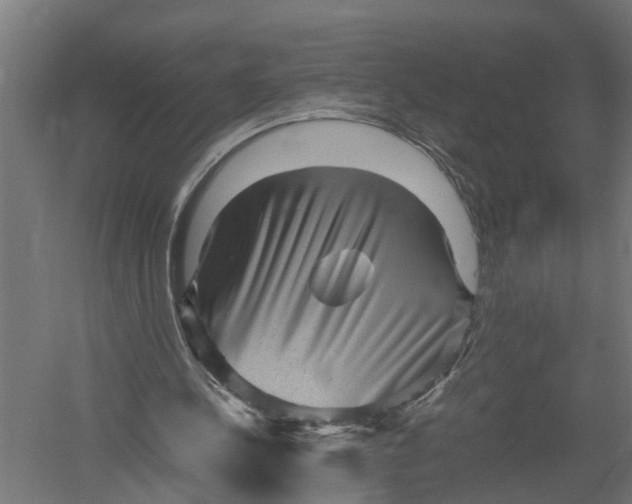 X0000052920244200507292333