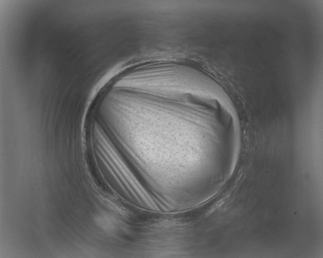 X0000052920246200507292333