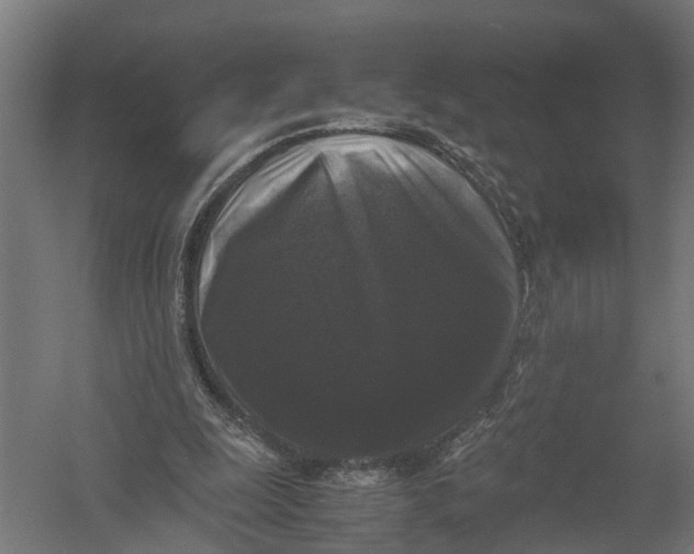 X0000052920247200507292333