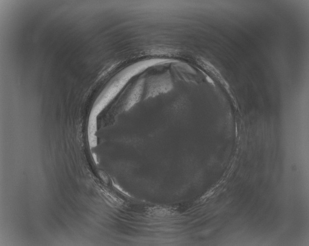 X0000052920249200507292333