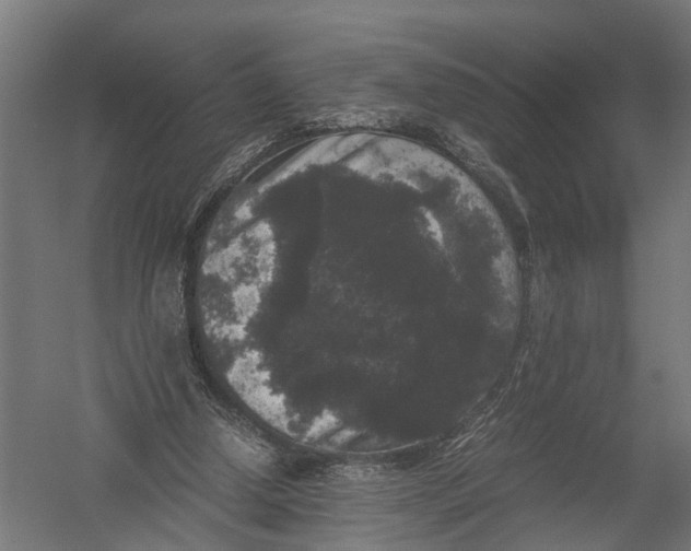 X0000052920250200507292333