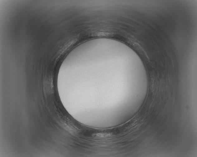 X0000052920251200507292333