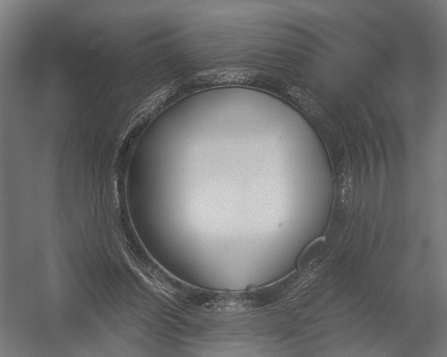 X0000052920254200507292333