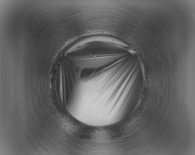X0000052920256200507292333