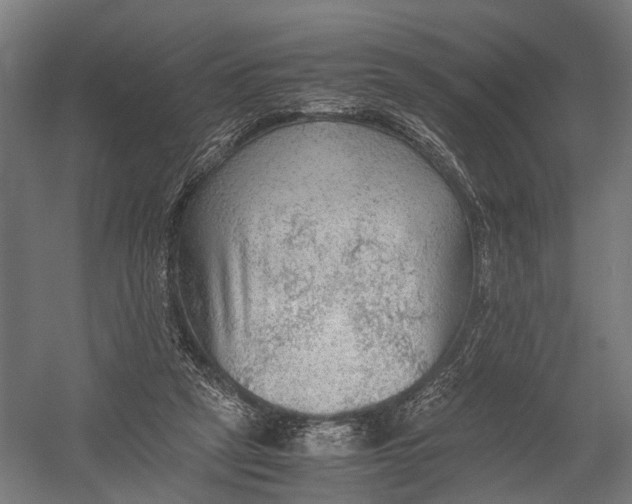 X0000052920257200507292333