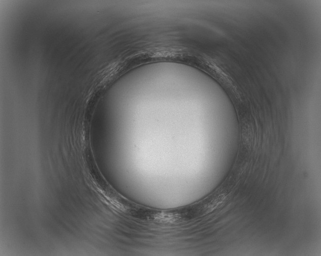 X0000052920261200507292333