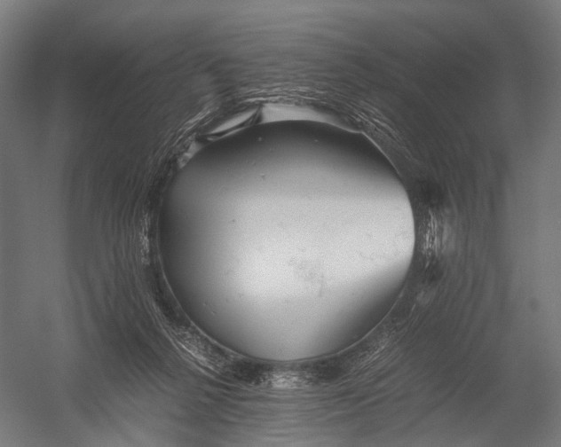 X0000052920264200507292334