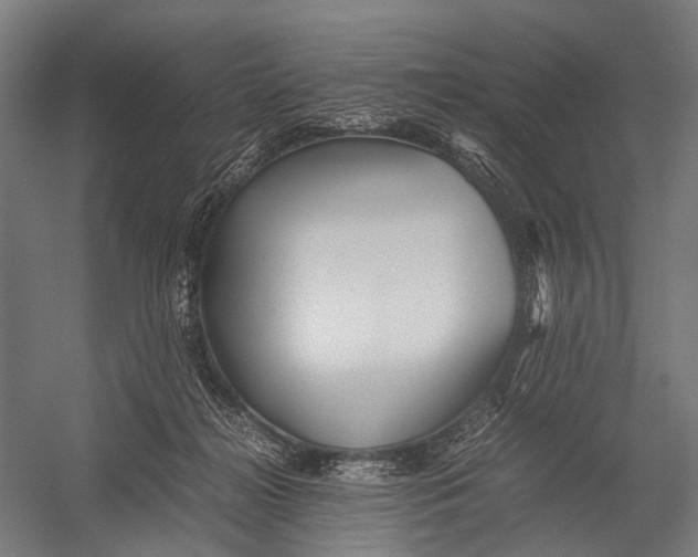 X0000052920268200507292334