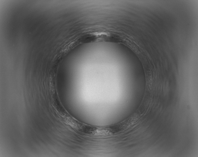 X0000052920270200507292334