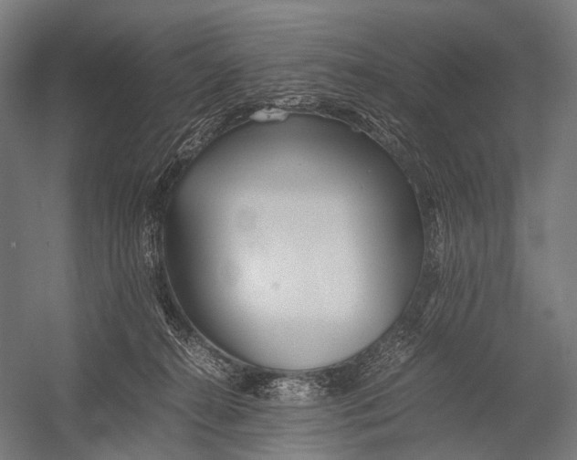 X0000052920272200507292334