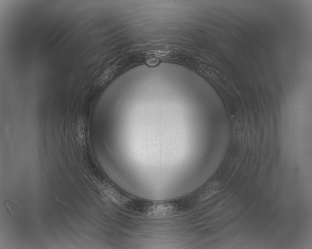 X0000052920274200507292334