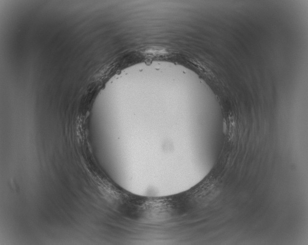 X0000052920280200507292334